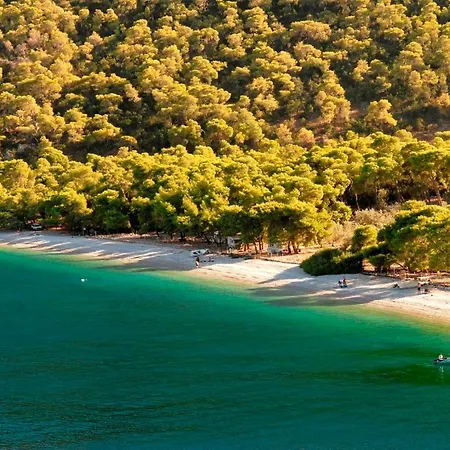 Villa Soligia Blue *