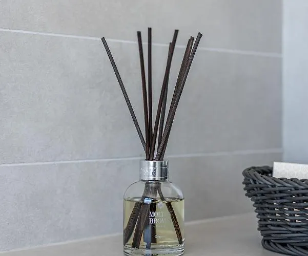 Soligia Blue Pefkali